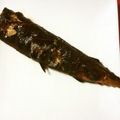 ゆかりリー's cooksnap of when they made 秋刀魚の塩麹焼き.