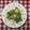 ∞yurimi∞'s cooksnap of when they made ちくわとキュウリのゴマ味噌和え.