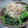 こずっぺ's cooksnap of when they made ★すっきり！ほうれん草の梅かつお和え★.