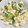 __おもち's cooksnap of when they made ねばとろ♡オクラと豆腐の胡麻和え.