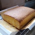 ちゃ〜の家's cooksnap of when they made カステラ木枠で作るふんわりショートケーキ.