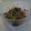 茶太郎0506's cooksnap of when they made ししとうでご飯がすすむくん.