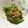 りーふねーむ's cooksnap of when they made 簡単☆ほうれん草のおひたし.