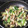 ふたご～ず's cooksnap of when they made 青梗菜としめじのオイスター炒め.