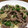 ちーharu♪'s cooksnap of when they made エリンギで☆簡単安価に青椒肉絲風.