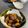 ♡はな1204♡'s cooksnap of when they made 作り置きにも！ぶりとなすの油淋だれ.