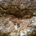 mimi385's cooksnap of when they made おからケーキ『黒胡麻＆ココア』.
