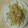かぷち＠花嫁's cooksnap of when they made ☆ダシダで簡単もやしの和え物☆.
