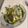 みおいぶママ's cooksnap of when they made 真鯛のポワレ！バジルクリームソース.