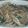 ぱせりnn's cooksnap of when they made 簡単☆もやしとニラの炒め.