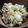 元気一番's cooksnap of when they made 隠し味あり♪マカロニツナサラダ.