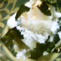 熊人すみこ's cooksnap of when they made 釜揚げしらす おろし丼.