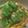 りきさ's cooksnap of when they made 超簡単...丼で...6分...親子丼.