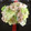 hagiemi's cooksnap of when they made キャベツとザーサイ炒め.