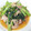 Ｆ☆みぃ's cooksnap of when they made 小松菜と豚肉のゴマ生姜焼き.