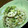 ju_10's cooksnap of when they made 蓮根と豆苗のマスタード和え.