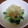 ☆るぅな☆'s cooksnap of when they made きゅうりとみょうがの塩麹和え.