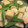 ちゃみ's cooksnap of when they made 厚揚げとたけのこの煮物おかかのせ.
