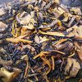 みねちゅう's cooksnap of when they made 揚げ高野豆腐とひじきの煮物.