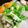 runinchef's cooksnap of when they made 我が家の豚汁＊塩麹＊.