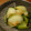 Ganna's cooksnap of when they made 青梗菜の中華和え.