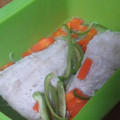 shokolat's cooksnap of when they made やわらか！ルクエde塩麹♪鮭と野菜蒸し.