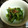 ishicafe's cooksnap of when they made 簡単おつまみ☆きゅうりの大葉梅肉和え.