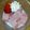 ひーまんま's cooksnap of when they made イチゴのあわわ（ムース風デザート）.