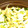 durant's cooksnap of when they made ＊和＊ツナとキャベツのくたくた煮.