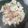 ヨポコ's cooksnap of when they made 塩麹さんで山芋とねぎの炒め物.
