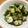 ぷううさぎ's cooksnap of when they made きゅうりの簡単ゆかりあえ.