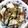 お蘭's cooksnap of when they made アツアツ豆腐　中華風.