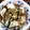 お蘭's cooksnap of when they made アツアツ豆腐　中華風.