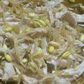 ひなっちち's cooksnap of when they made 韓国料理—豆もやしと鶏のナムル.