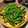 きょそ's cooksnap of when they made 簡単★スナップエンドウとシメジの塩麹炒め.