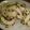 mokun's cooksnap of when they made 白瓜の即席！昆布漬け.