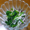 B子chan's cooksnap of when they made ほうれん草の塩昆布和え.