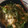 ゆのりん☆'s cooksnap of when they made ふわっと　とろとろ♪玉子丼.