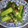 nekojaran's cooksnap of when they made 胡瓜と茗荷の塩昆布和え.