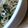 葉っぱっぴぃ's cooksnap of when they made 鶏とほうれん草の柚子コショウ味パスタ.