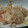 サボテンママコ's cooksnap of when they made 新玉ねぎとじゃこの鰹節和え.