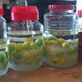 琴平玲's cooksnap of when they made ２０１０自家製梅シロップで梅ジュースに！.