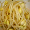 豆花子's cooksnap of when they made 豆もやしのナムル.