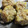 あっきぃにゃん's cooksnap of when they made 評判のほたて焼売.