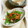 ＴＯＭＯＷＡＴ's cooksnap of when they made ピーマンと人参のちょいエスニック和え.