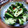 くらころ's cooksnap of when they made しその実の塩漬け.