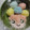 まいにゃんママ's cooksnap of when they made ギラギラっち　たまごっち.