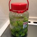 ちいゆうこ's cooksnap of when they made 簡単♪適当な梅酒.