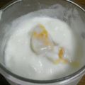 ﾏﾅﾐｸﾛ's cooksnap of when they made 水戻しマンゴー＊ヨーグルトで戻してもOK.