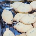 猫の手程度's cooksnap of when they made フレッシュ♪ミントクッキー.